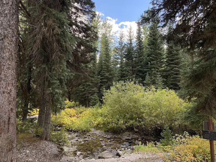 Park Creek Campground Picture 2