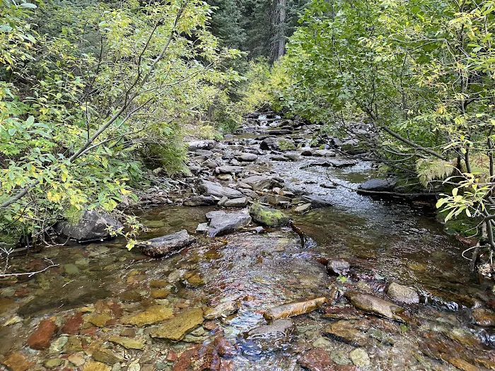 Park Creek Campground Picture 8