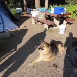 Lindbergh Lake Campground