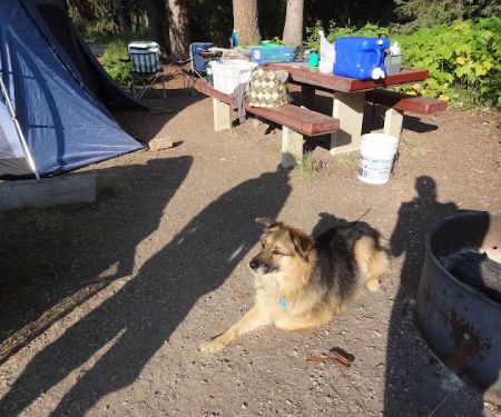 Lindbergh Lake Campground