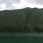 Harrison Lake Campground