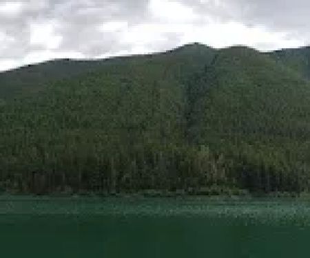 Harrison Lake Campground