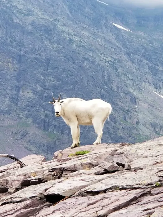 Sperry Chalet Campground Picture 2