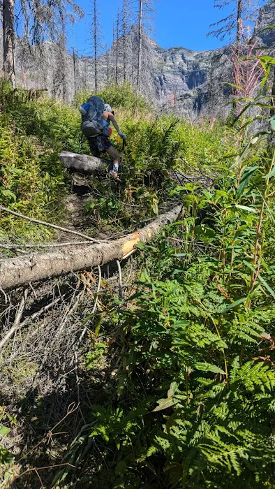 Snyder Lake Campground Picture 4