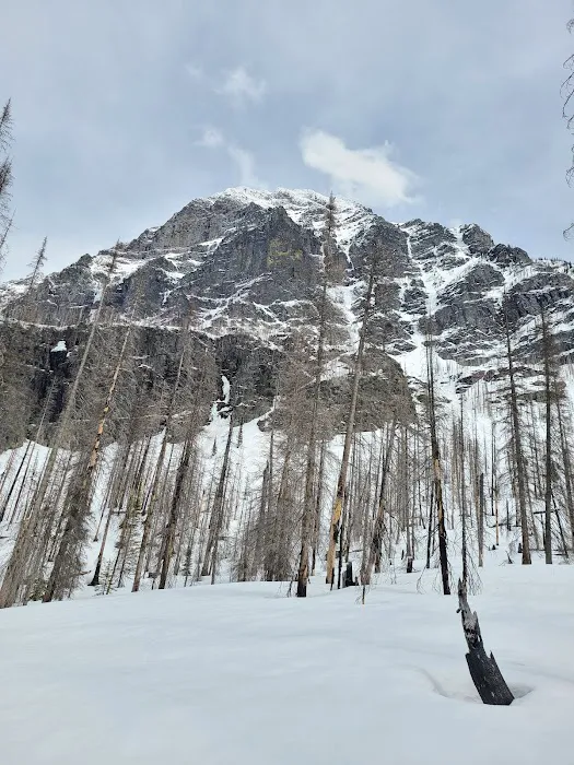 Snyder Lake Campground Picture 3