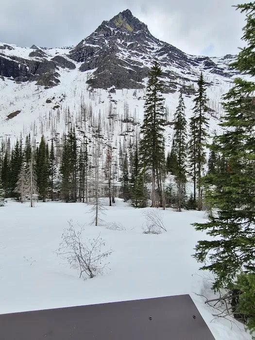 Snyder Lake Campground Picture 2