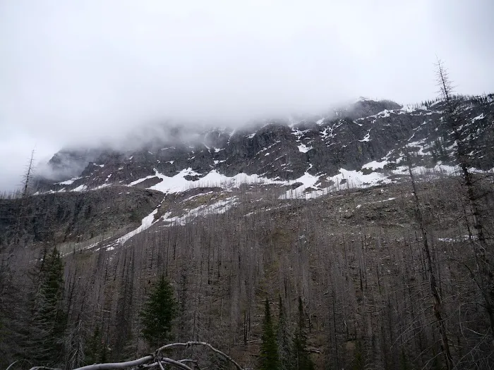 Snyder Lake Campground Picture 8