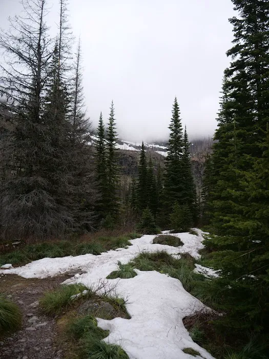 Snyder Lake Campground Picture 10