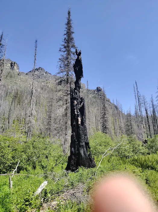 Lincoln Lake Campground Picture 9