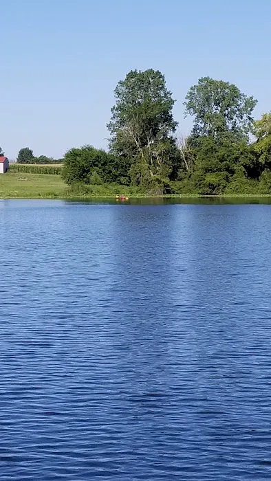 Shady Haven Resort Picture 3