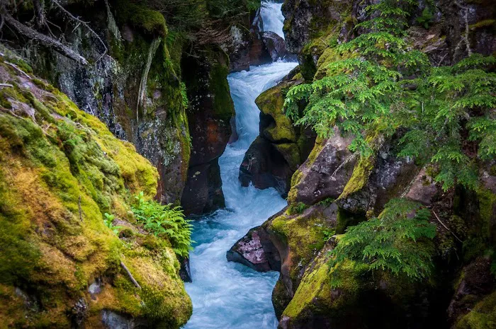 Avalanche Campground Picture 4