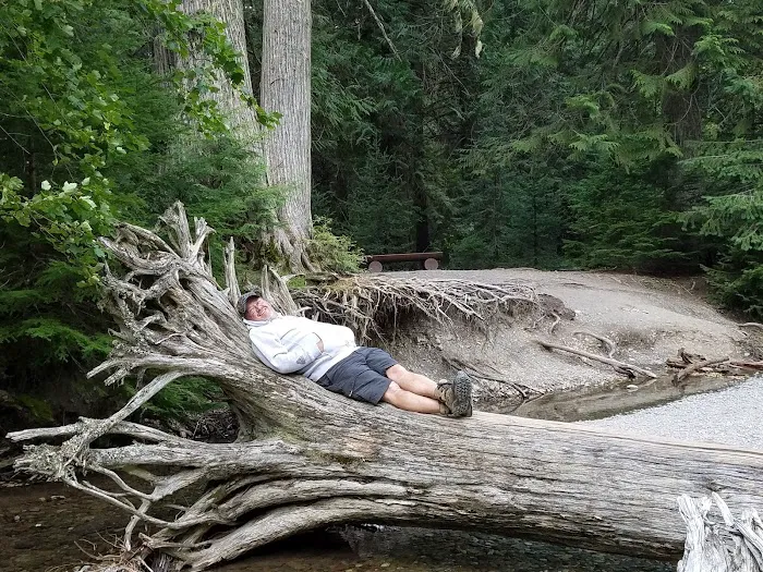 Avalanche Campground Picture 8