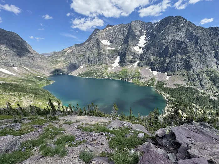 Lake Ellen Wilson Campground Picture 6