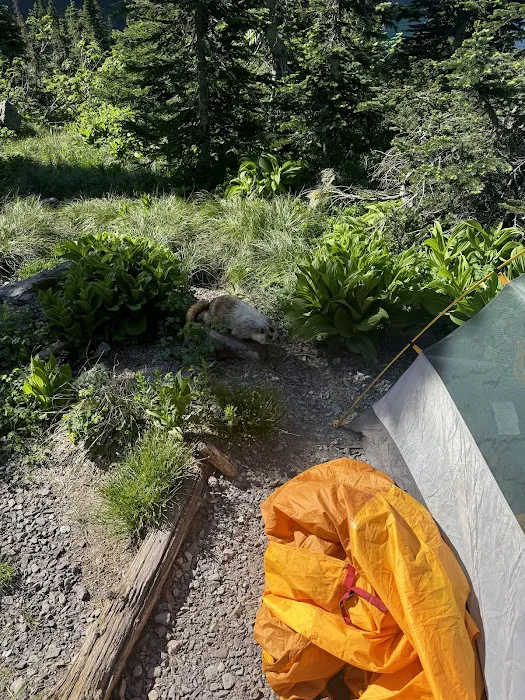 Lake Ellen Wilson Campground Picture 5