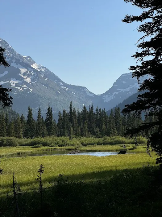 Lake Ellen Wilson Campground Picture 7
