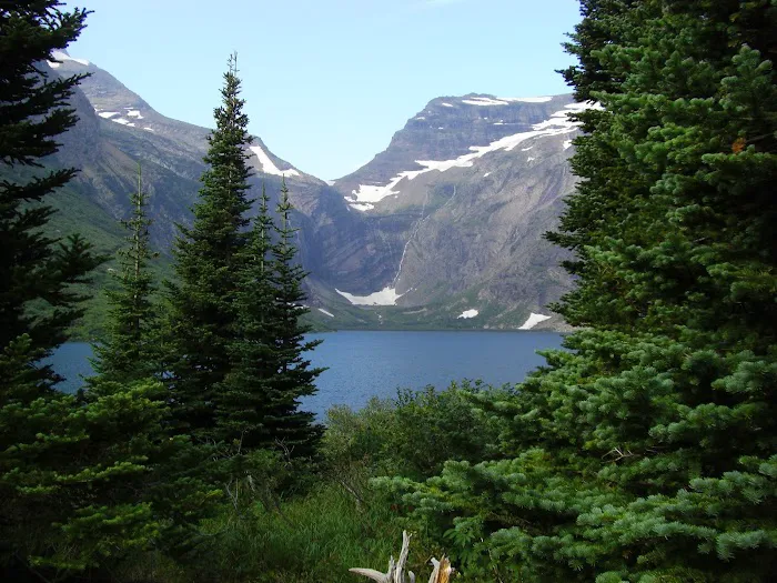 Gunsight Lake Campground Picture 5