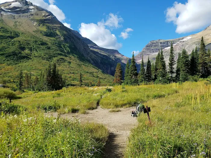 Gunsight Lake Campground Picture 8