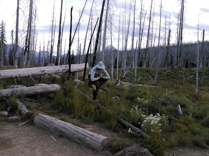 Flattop Campground Picture 6