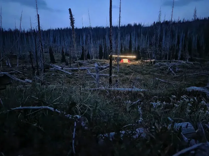 Flattop Campground Picture 4