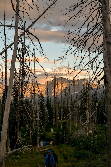 Flattop Campground Picture 2