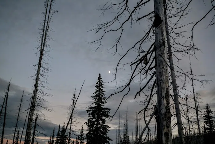 Flattop Campground Picture 1