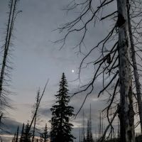 Flattop Campground ico