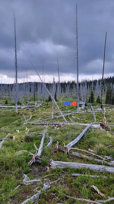 Flattop Campground Picture 7