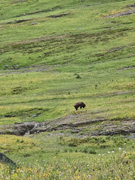 Fifty Mountain Campground Picture 7