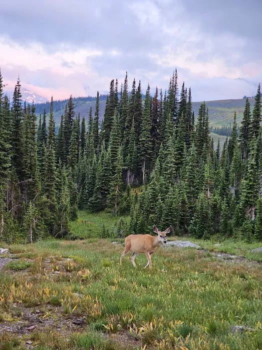 Fifty Mountain Campground Picture 6