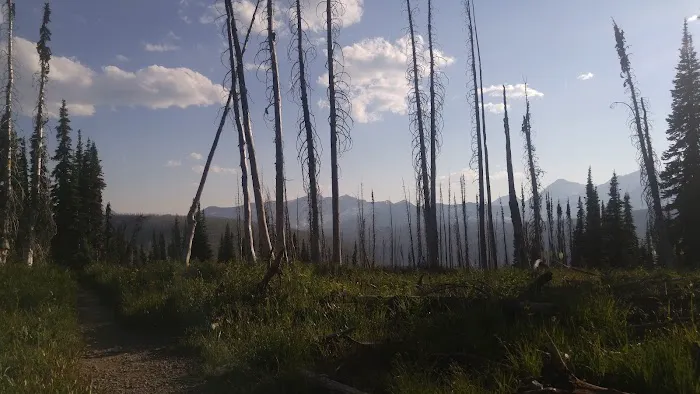 Fifty Mountain Campground Picture 8