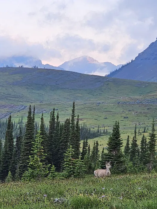 Fifty Mountain Campground Picture 1