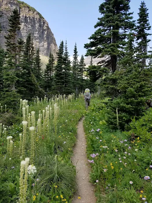 Stoney Indian Lake Campground Picture 8