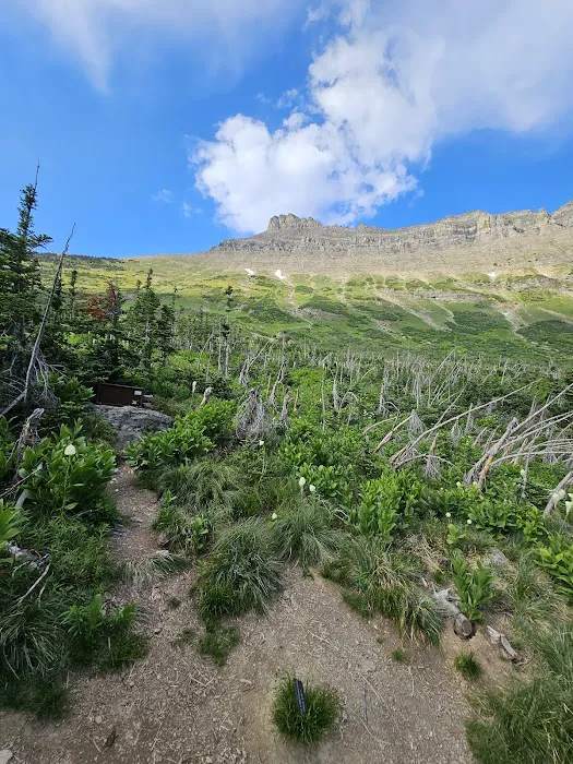 Stoney Indian Lake Campground Picture 6