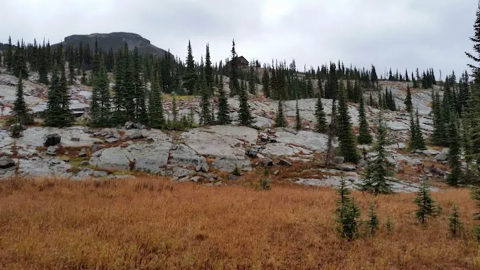 Granite Park Campground Picture 4