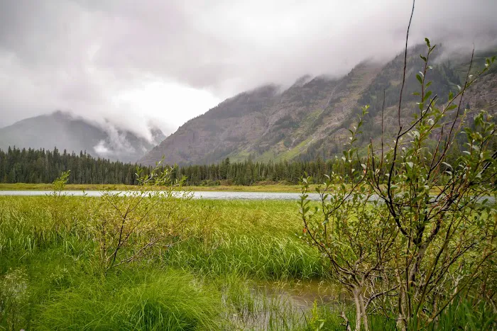 Kootenai Lake Campground Picture 4