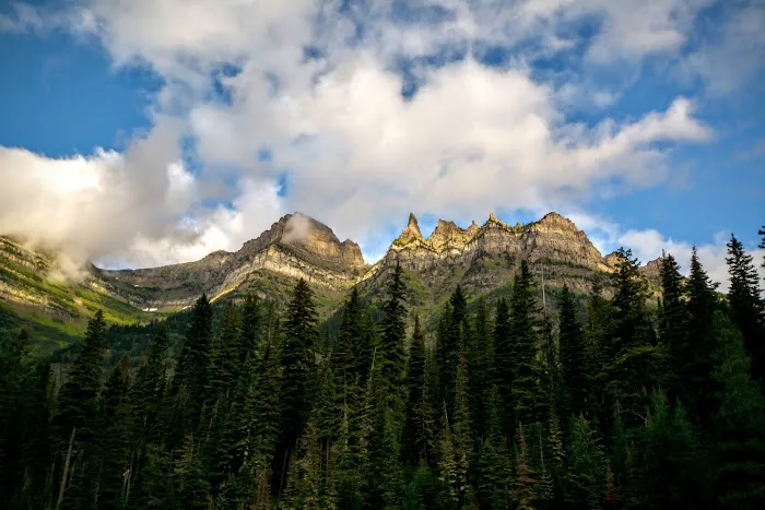 Kootenai Lake Campground Picture 5