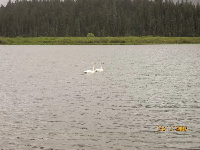 Kootenai Lake Campground Picture 6