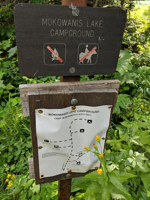 Mokowanis Lakes Campground Picture 6