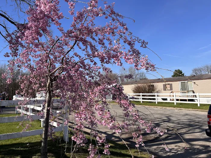 Autumn Grove Picture 7