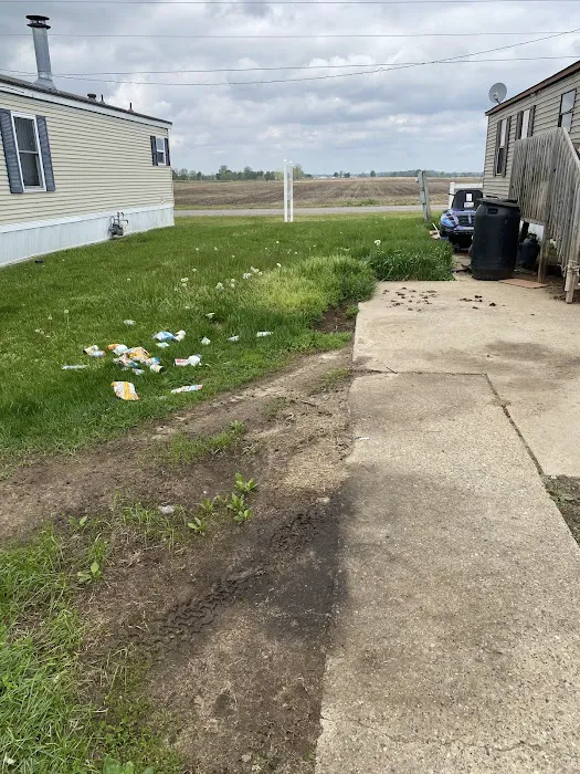 Autumn Grove Picture 1