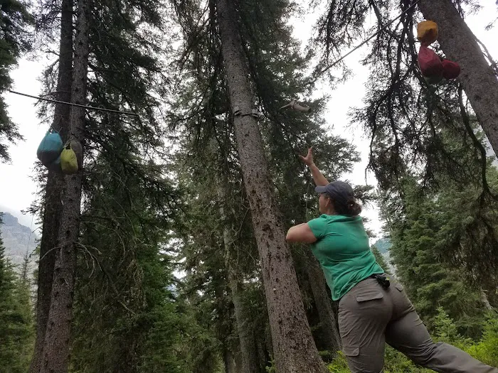 Mokowanis Junction Campground Picture 1