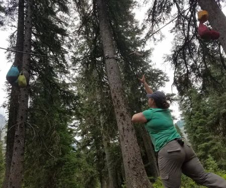 Mokowanis Junction Campground