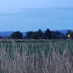 US Forest Services Ranger Station