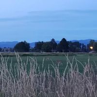 US Forest Services Ranger Station ico