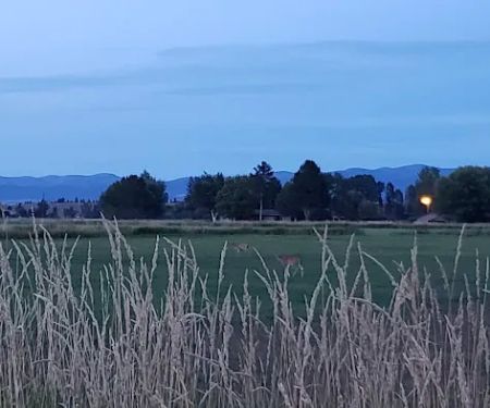 US Forest Services Ranger Station