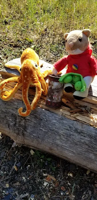 Harry's Flat Campground Picture 3