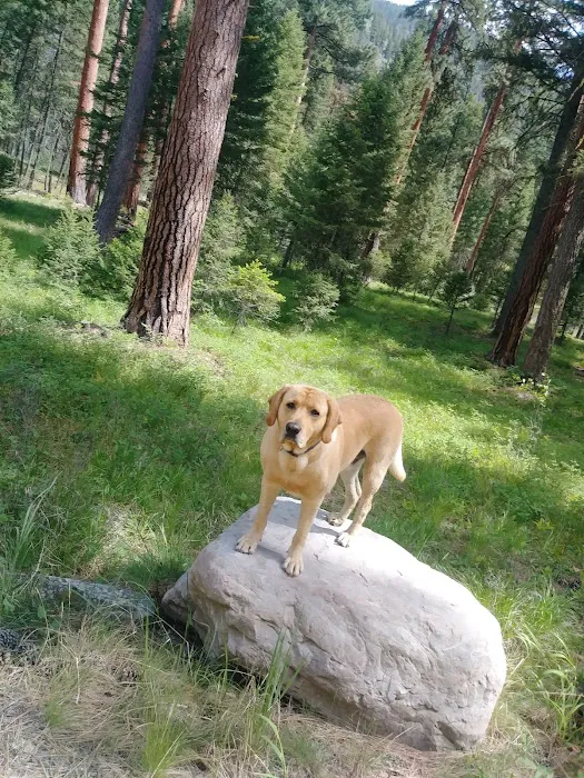 Harry's Flat Campground Picture 5