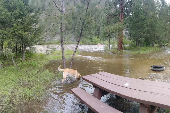 Harry's Flat Campground Picture 2