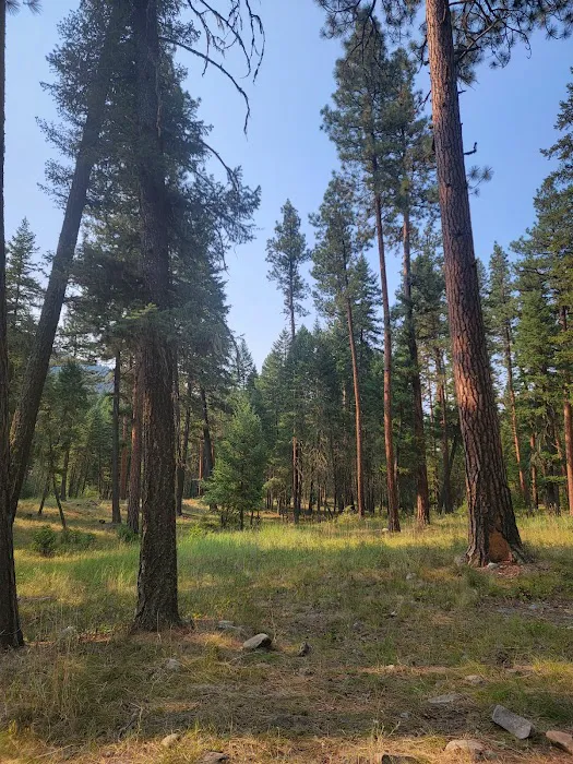 Harry's Flat Campground Picture 8