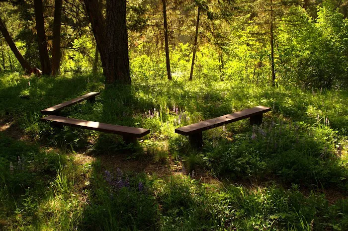 Bitterroot Flat Campground Picture 5